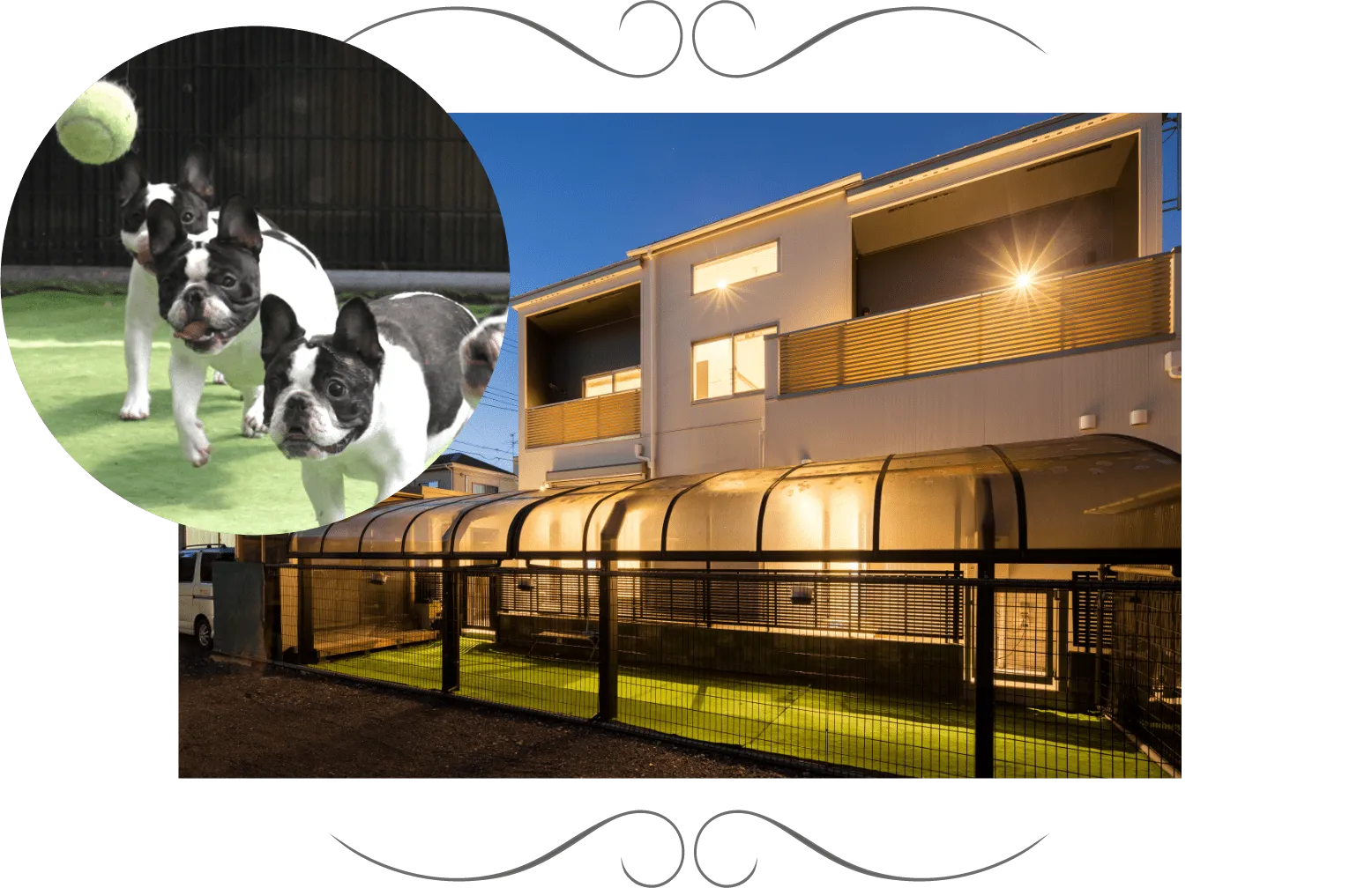 ドッグランのイメージ