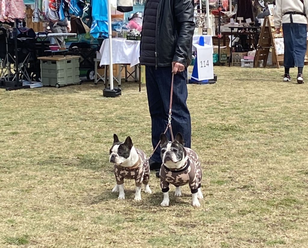 たたずむ未来と咲月